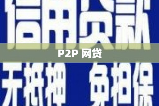 望谟P2P 网贷
