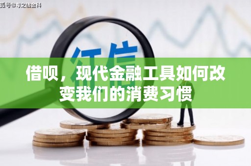 望谟借呗，现代金融工具如何改变我们的消费习惯