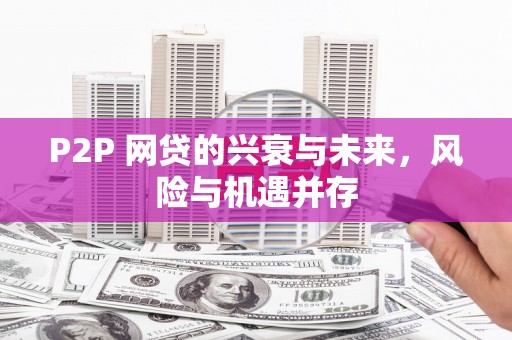 望谟P2P 网贷的兴衰与未来，风险与机遇并存