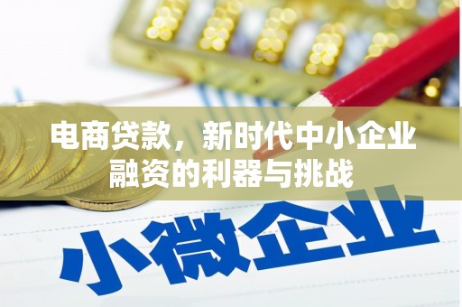 望谟电商贷款，新时代中小企业融资的利器与挑战