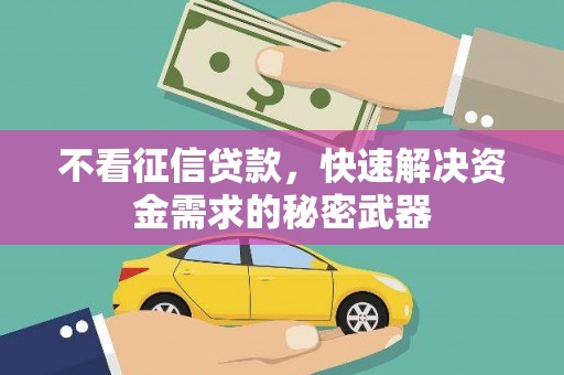 望谟不看征信贷款，快速解决资金需求的秘密武器