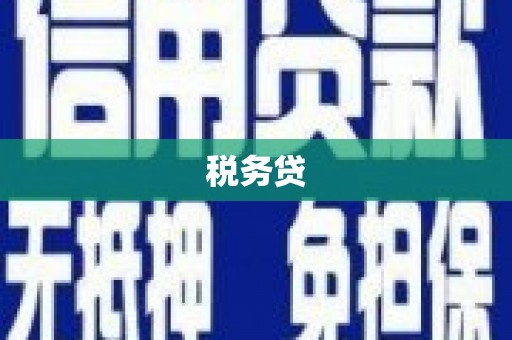 望谟税务贷