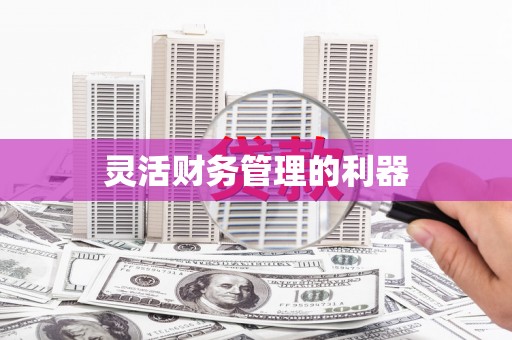 望谟灵活财务管理的利器