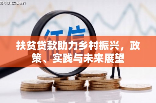 望谟扶贫贷款助力乡村振兴，政策、实践与未来展望