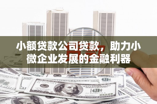 望谟小额贷款公司贷款，助力小微企业发展的金融利器