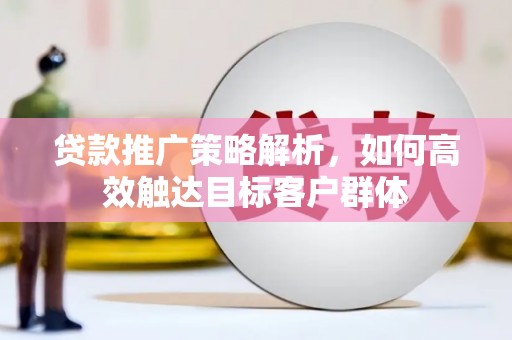 望谟贷款推广策略解析，如何高效触达目标客户群体