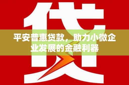 望谟平安普惠贷款，助力小微企业发展的金融利器