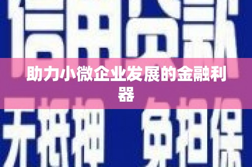 望谟助力小微企业发展的金融利器
