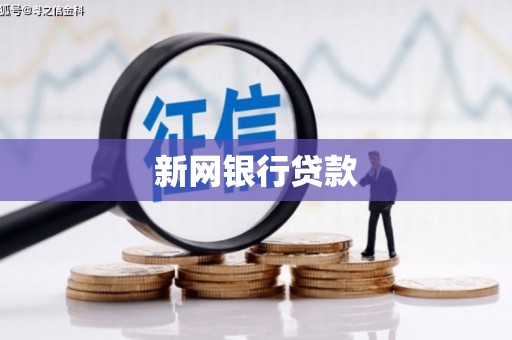 望谟新网银行贷款