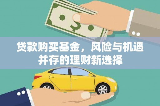望谟贷款购买基金，风险与机遇并存的理财新选择