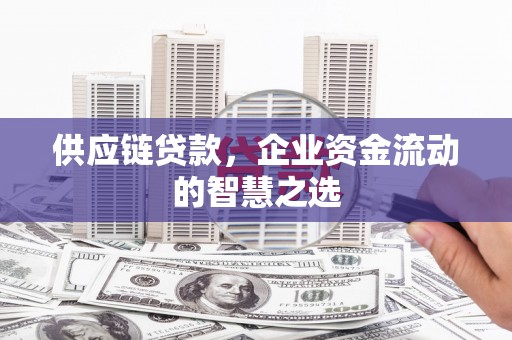 望谟供应链贷款，企业资金流动的智慧之选