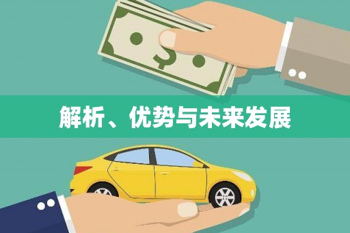 望谟解析、优势与未来发展