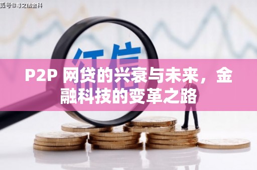 望谟P2P 网贷的兴衰与未来，金融科技的变革之路