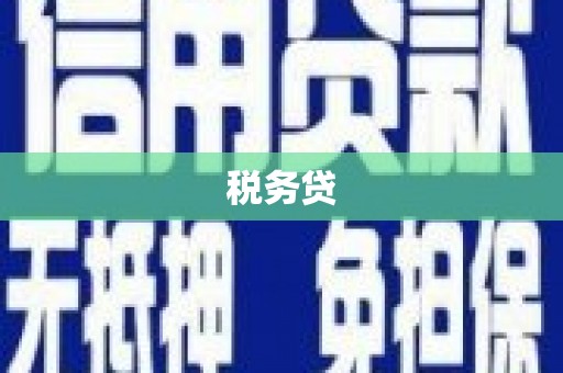 望谟税务贷