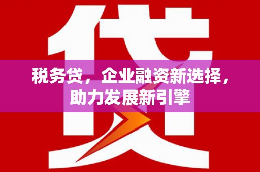 望谟税务贷，企业融资新选择，助力发展新引擎