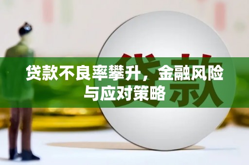 望谟贷款不良率攀升，金融风险与应对策略