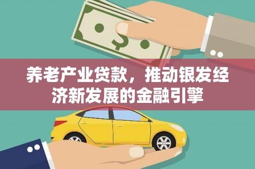 望谟养老产业贷款，推动银发经济新发展的金融引擎