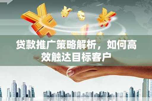 望谟贷款推广策略解析，如何高效触达目标客户