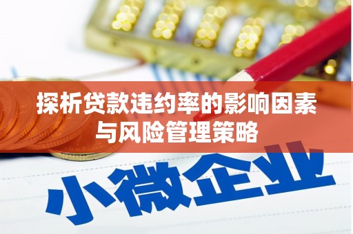 望谟探析贷款违约率的影响因素与风险管理策略