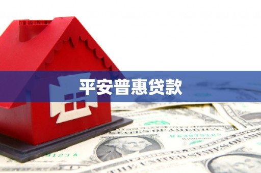 望谟平安普惠贷款