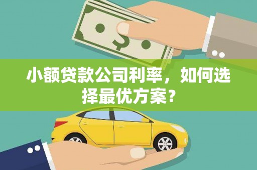 望谟小额贷款公司利率，如何选择最优方案？