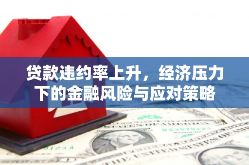 望谟贷款违约率上升，经济压力下的金融风险与应对策略