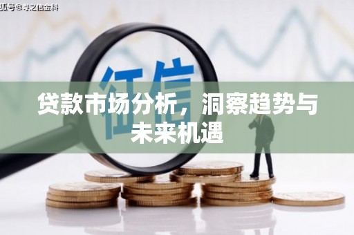 望谟贷款市场分析，洞察趋势与未来机遇