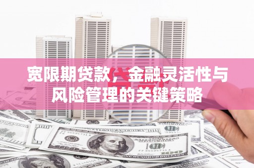 望谟宽限期贷款，金融灵活性与风险管理的关键策略