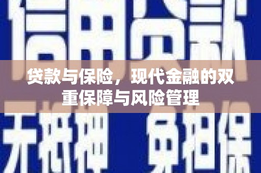 望谟贷款与保险，现代金融的双重保障与风险管理