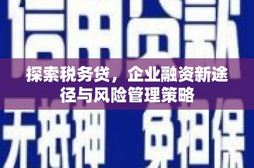 望谟探索税务贷，企业融资新途径与风险管理策略