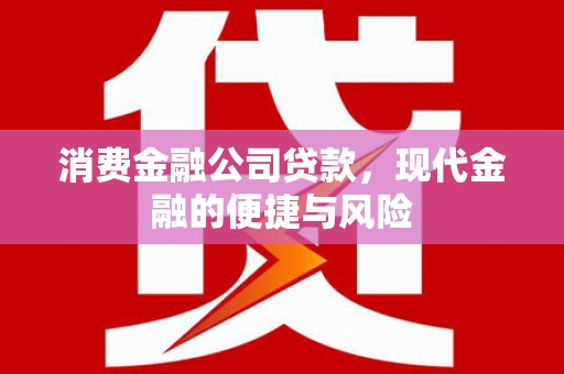 望谟消费金融公司贷款，现代金融的便捷与风险