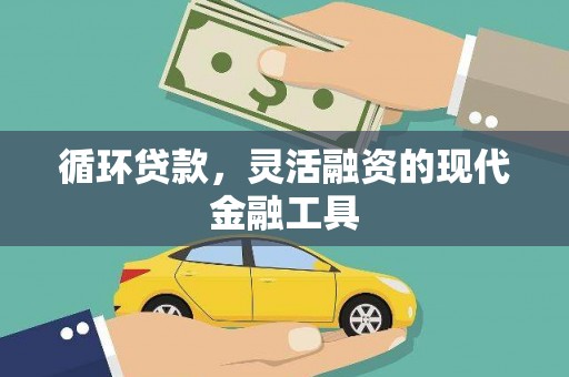 望谟循环贷款，灵活融资的现代金融工具