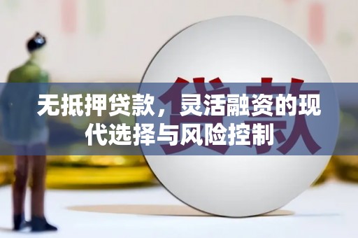 望谟无抵押贷款，灵活融资的现代选择与风险控制