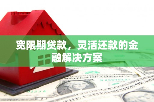 望谟宽限期贷款，灵活还款的金融解决方案