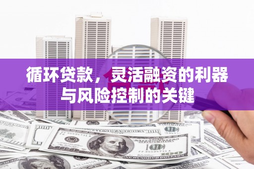 望谟循环贷款，灵活融资的利器与风险控制的关键