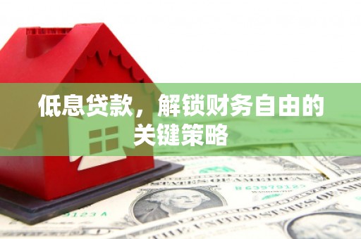 望谟低息贷款，解锁财务自由的关键策略