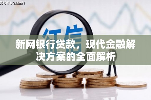 望谟新网银行贷款，现代金融解决方案的全面解析