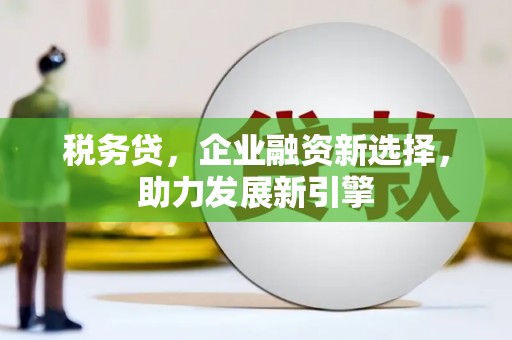 望谟税务贷，企业融资新选择，助力发展新引擎