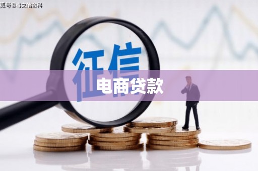 望谟电商贷款