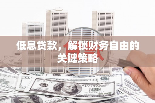 望谟低息贷款，解锁财务自由的关键策略