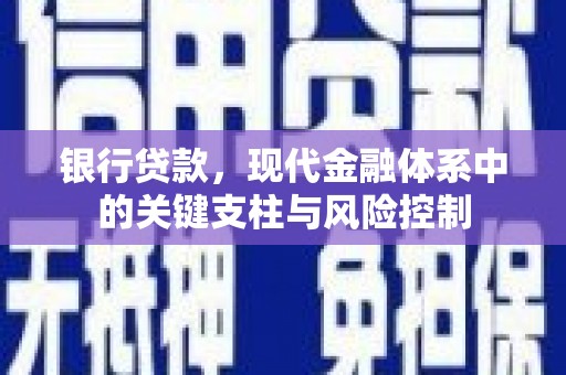 望谟银行贷款，现代金融体系中的关键支柱与风险控制