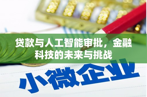 望谟贷款与人工智能审批，金融科技的未来与挑战