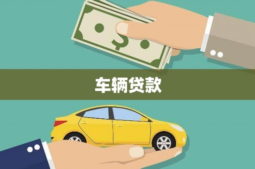 望谟车辆贷款