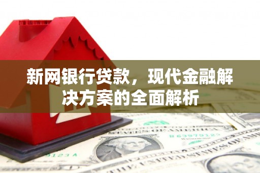 望谟新网银行贷款，现代金融解决方案的全面解析