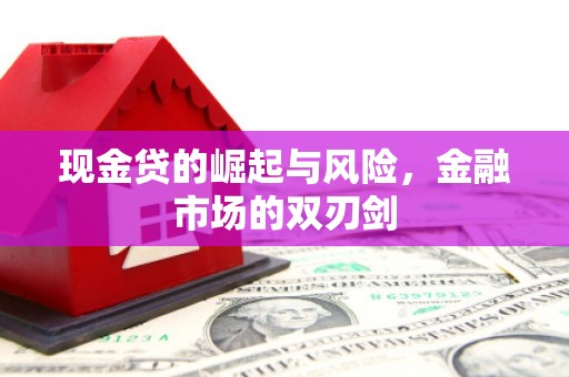 望谟现金贷的崛起与风险，金融市场的双刃剑