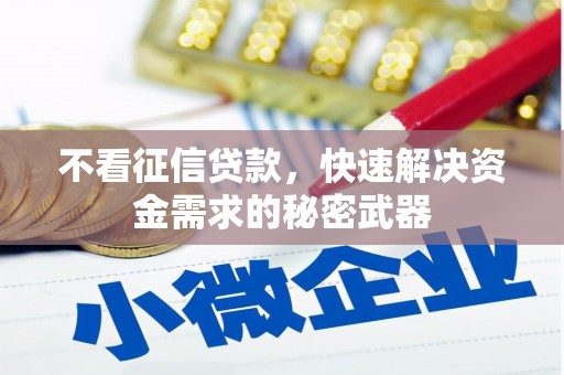望谟不看征信贷款，快速解决资金需求的秘密武器