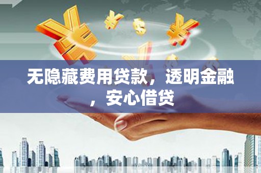 望谟无隐藏费用贷款，透明金融，安心借贷