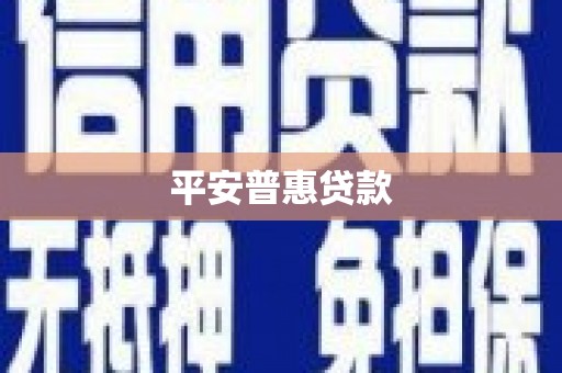 望谟平安普惠贷款