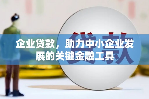 望谟企业贷款，助力中小企业发展的关键金融工具
