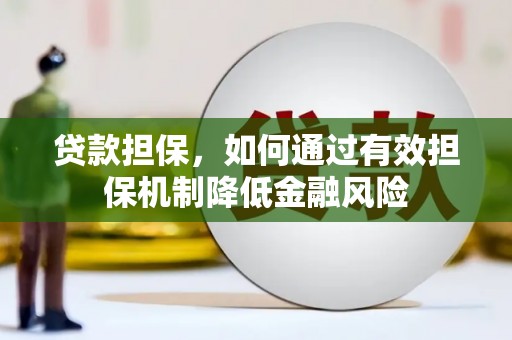 望谟贷款担保，如何通过有效担保机制降低金融风险